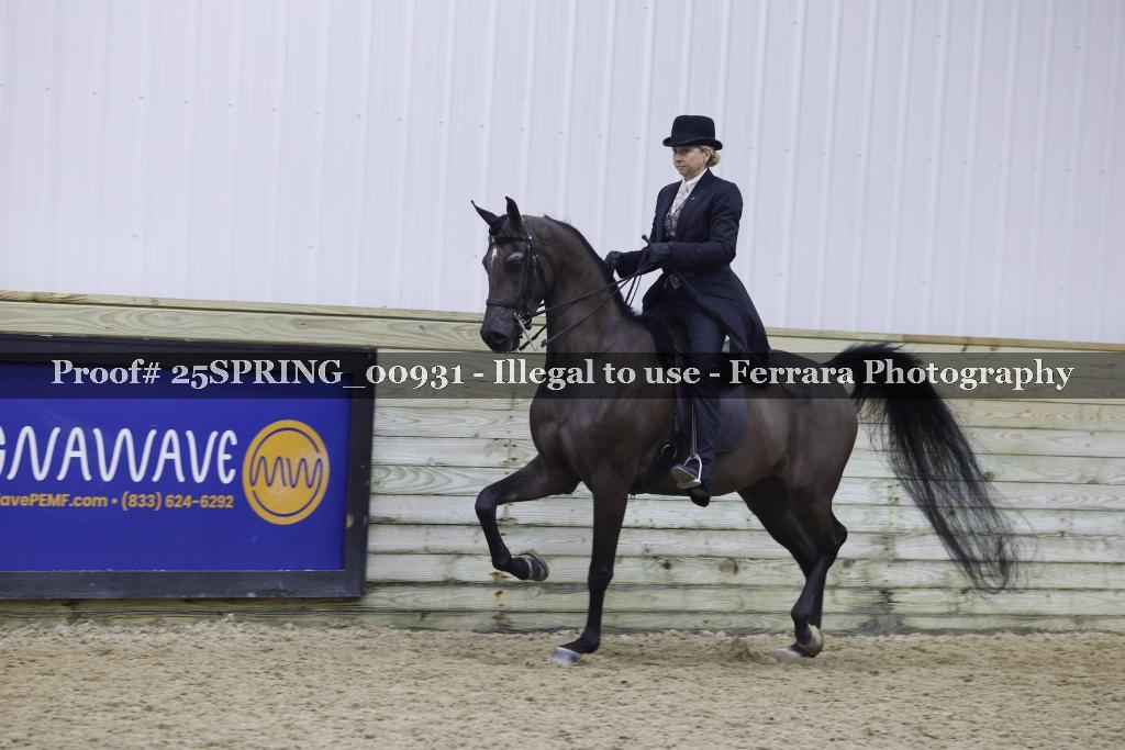 Proof 25SPRING_00931