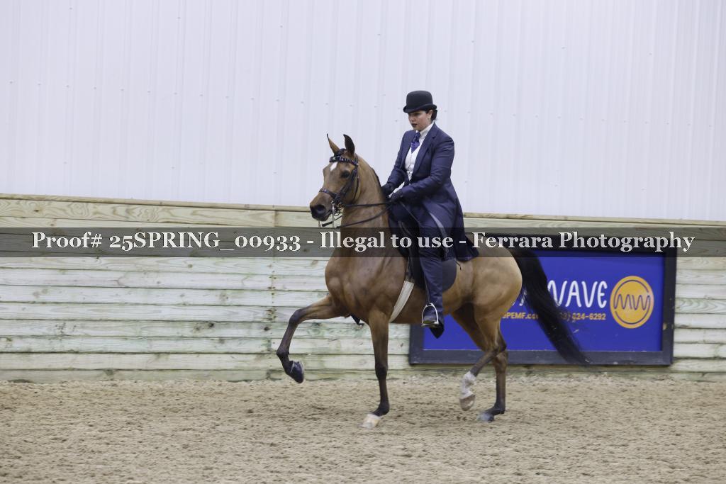 Proof 25SPRING_00933
