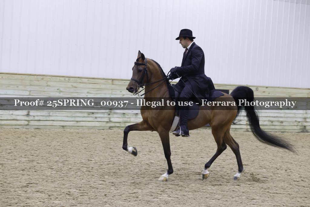 Proof 25SPRING_00937