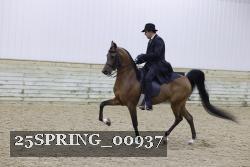 25SPRING_00937 proof