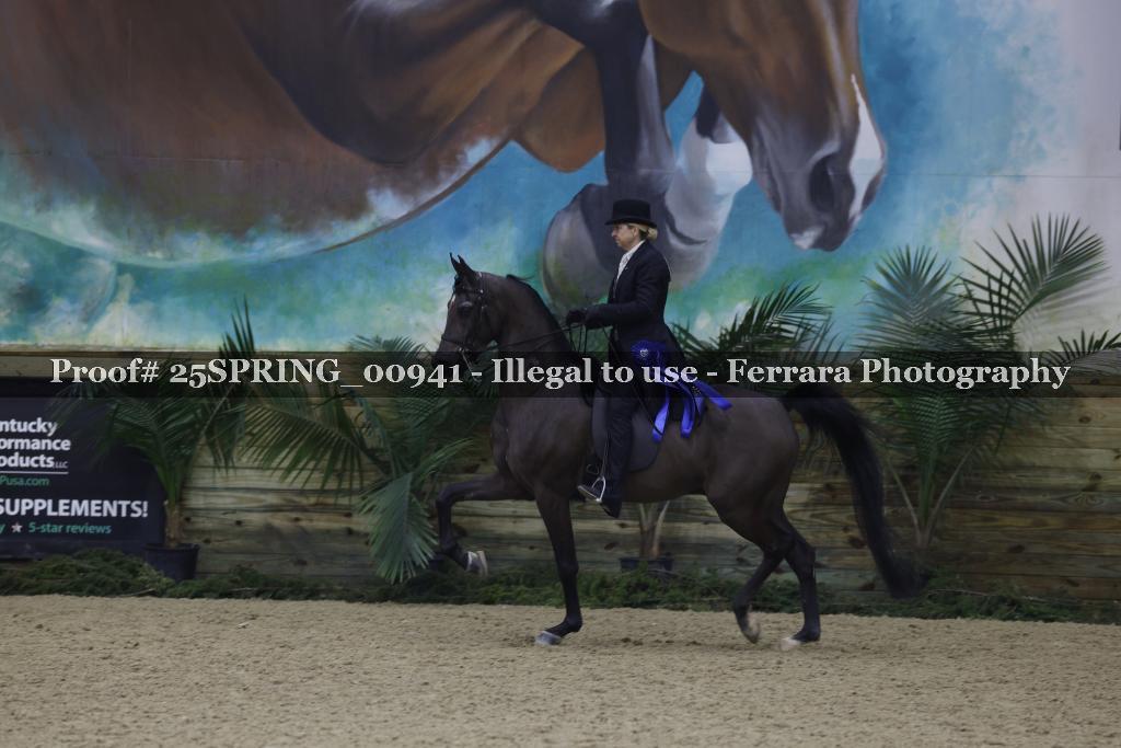 Proof 25SPRING_00941
