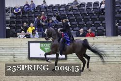25SPRING_00945 proof