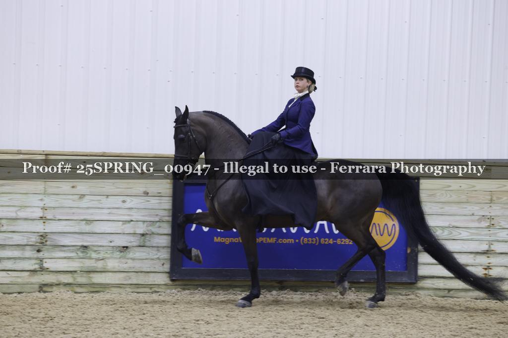 Proof 25SPRING_00947
