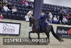 25SPRING_00954 proof