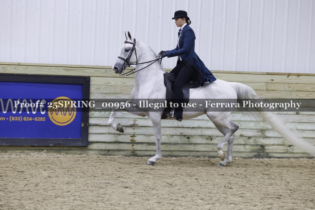 Proof 25SPRING_00956