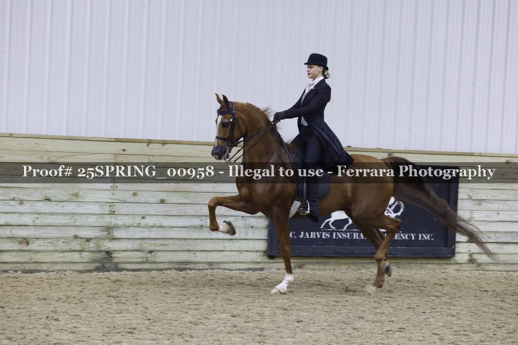 Proof 25SPRING_00958