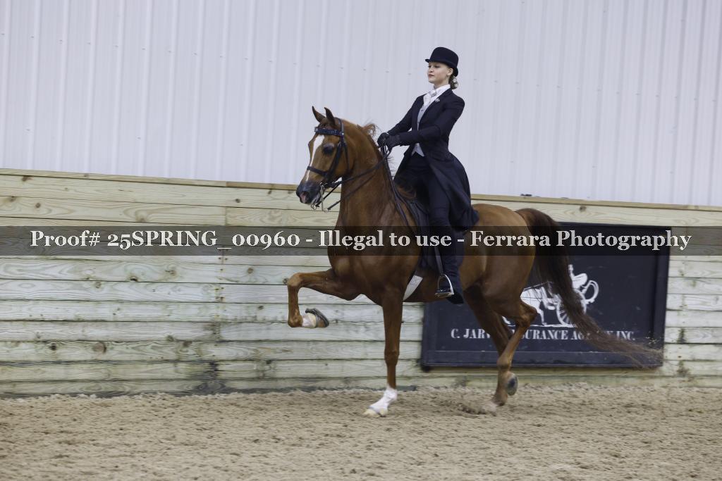 Proof 25SPRING_00960