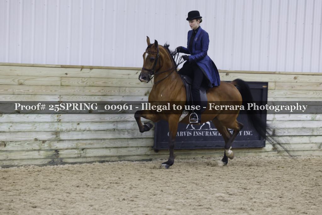 Proof 25SPRING_00961