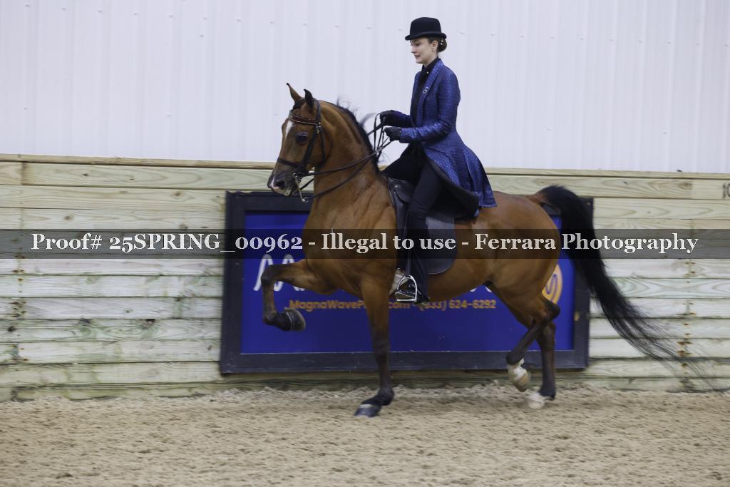 Proof 25SPRING_00962
