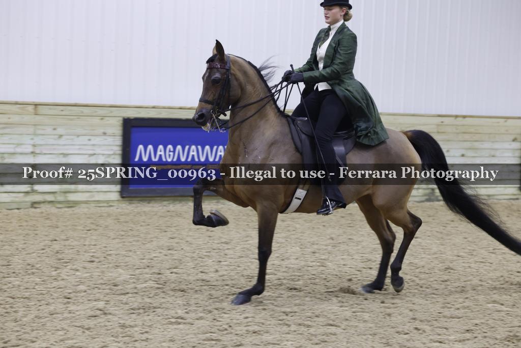 Proof 25SPRING_00963