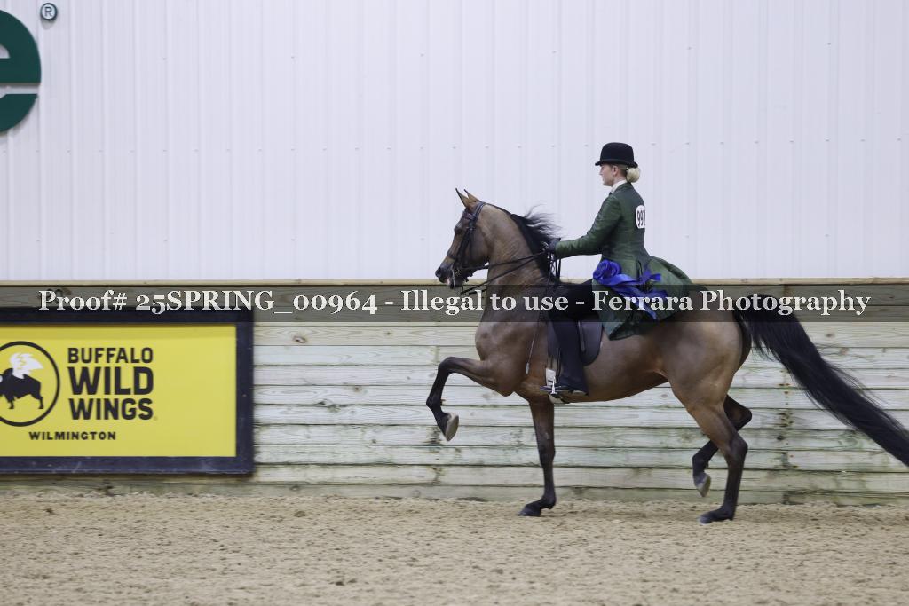 Proof 25SPRING_00964
