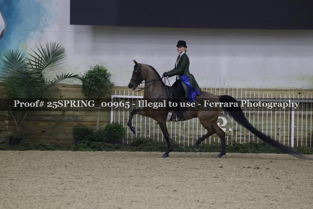 Proof 25SPRING_00965