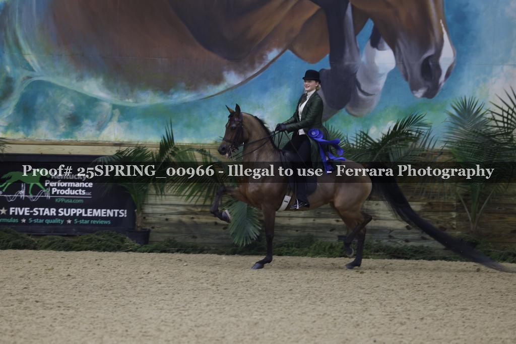 Proof 25SPRING_00966