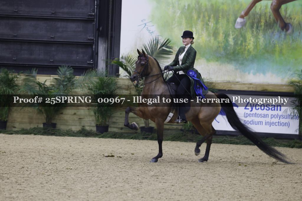 Proof 25SPRING_00967