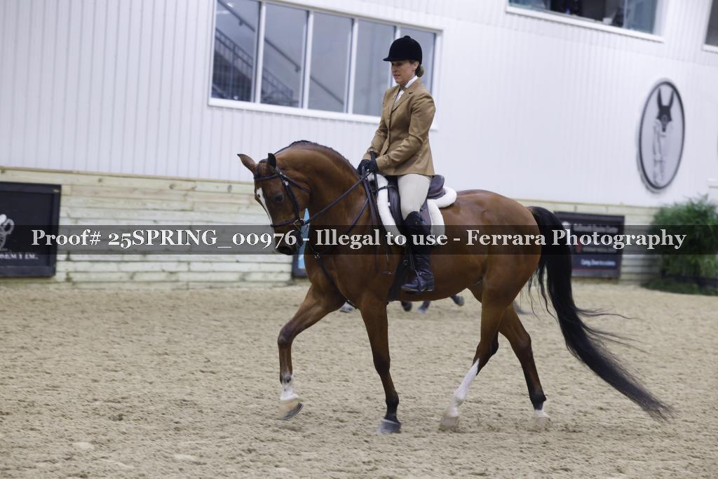 Proof 25SPRING_00976