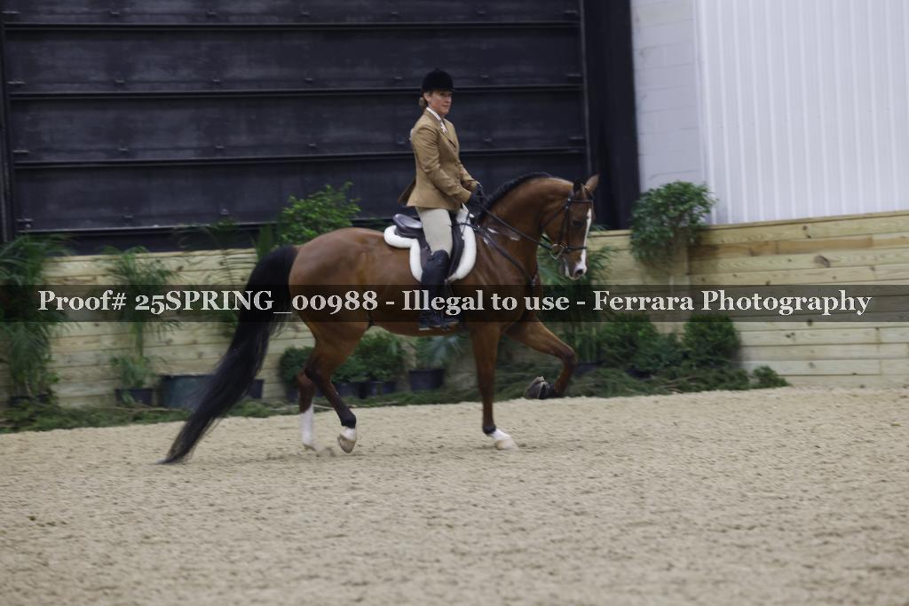 Proof 25SPRING_00988