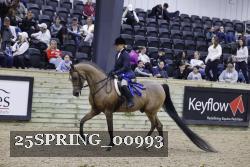 25SPRING_00993 proof