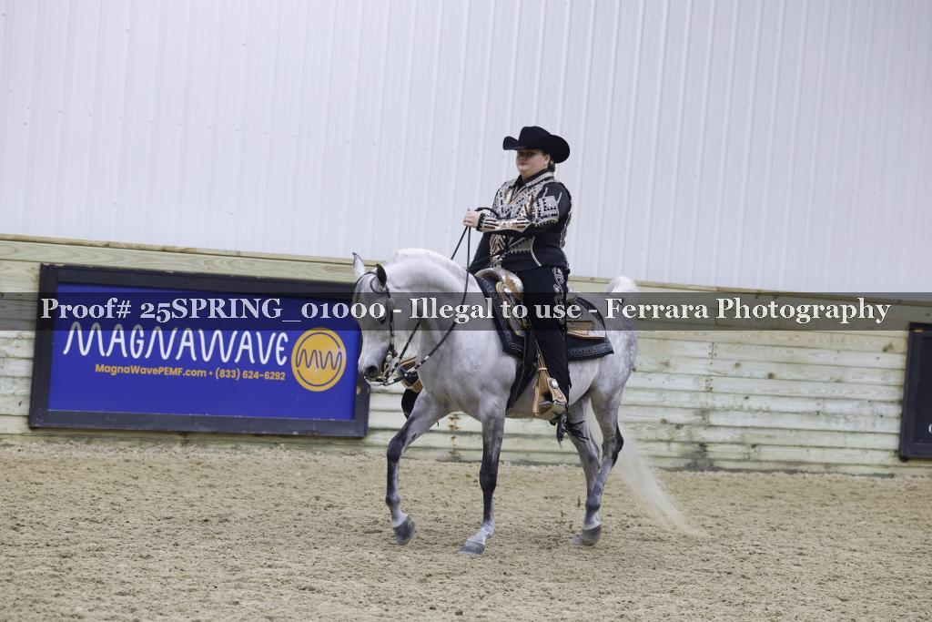Proof 25SPRING_01000