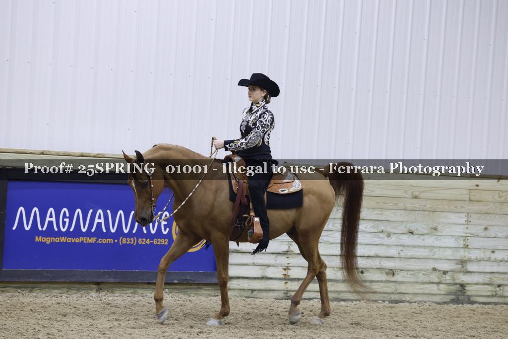 Proof 25SPRING_01001
