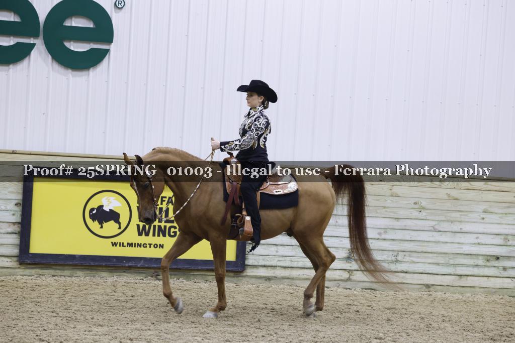 Proof 25SPRING_01003