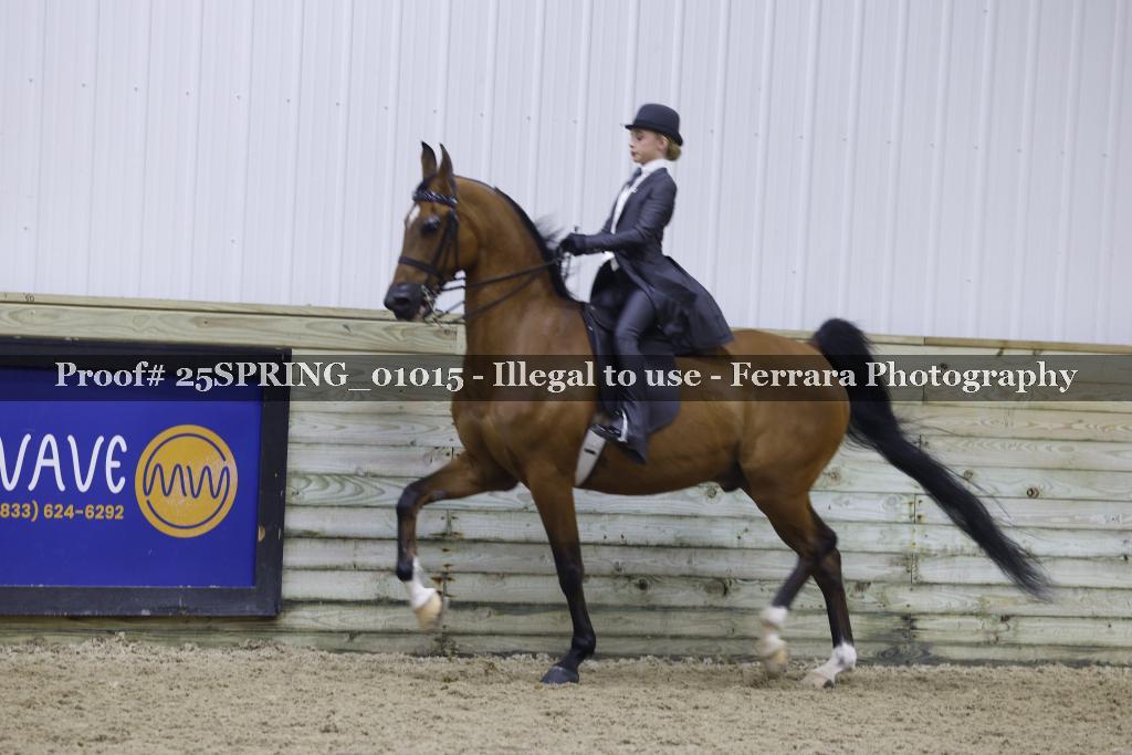 Proof 25SPRING_01015