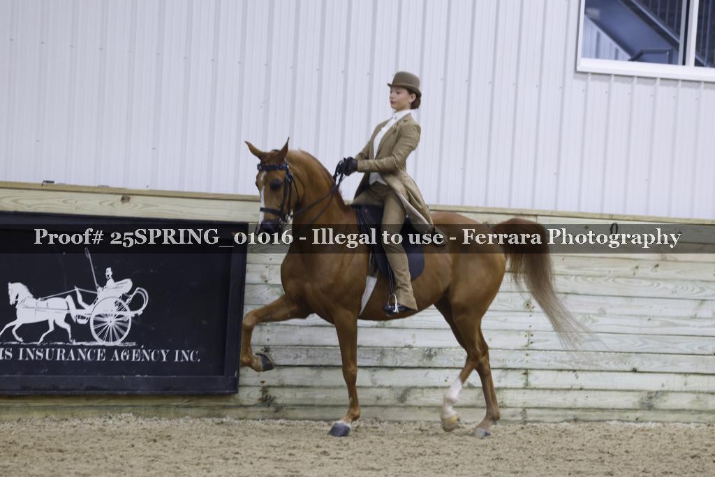 Proof 25SPRING_01016
