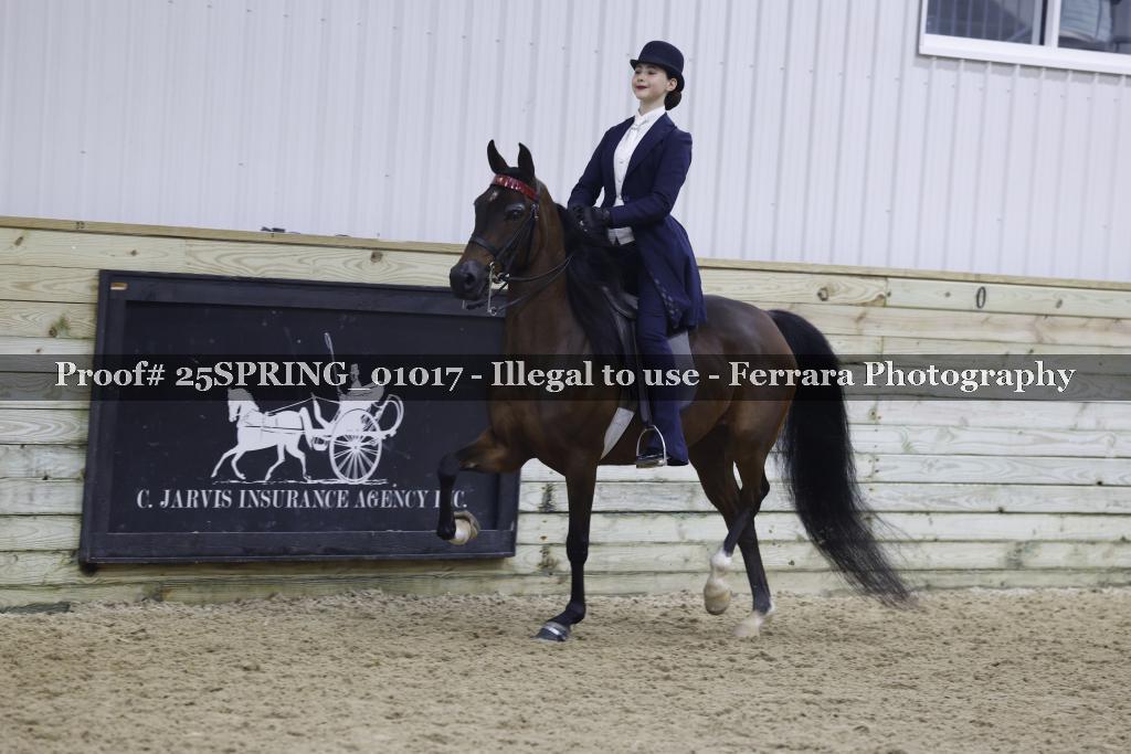 Proof 25SPRING_01017