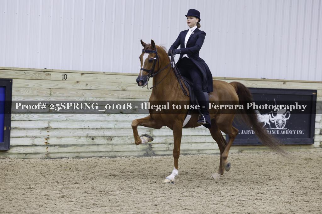 Proof 25SPRING_01018