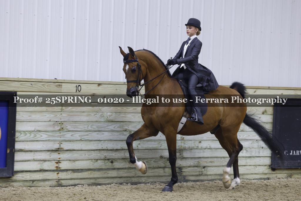 Proof 25SPRING_01020