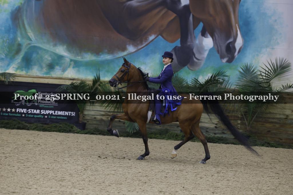 Proof 25SPRING_01021