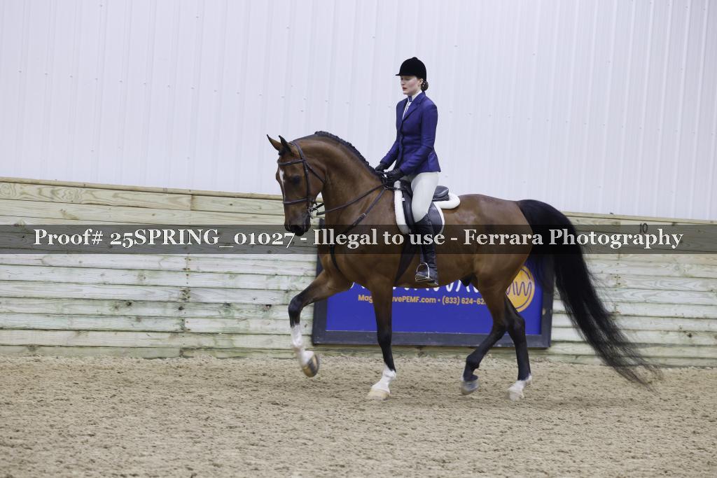 Proof 25SPRING_01027