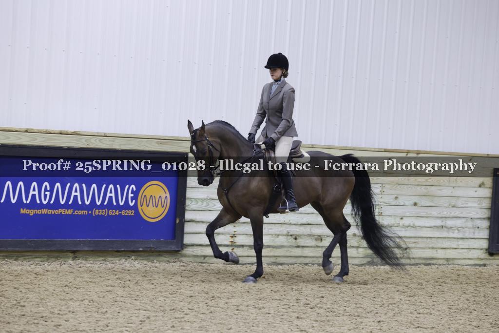 Proof 25SPRING_01028