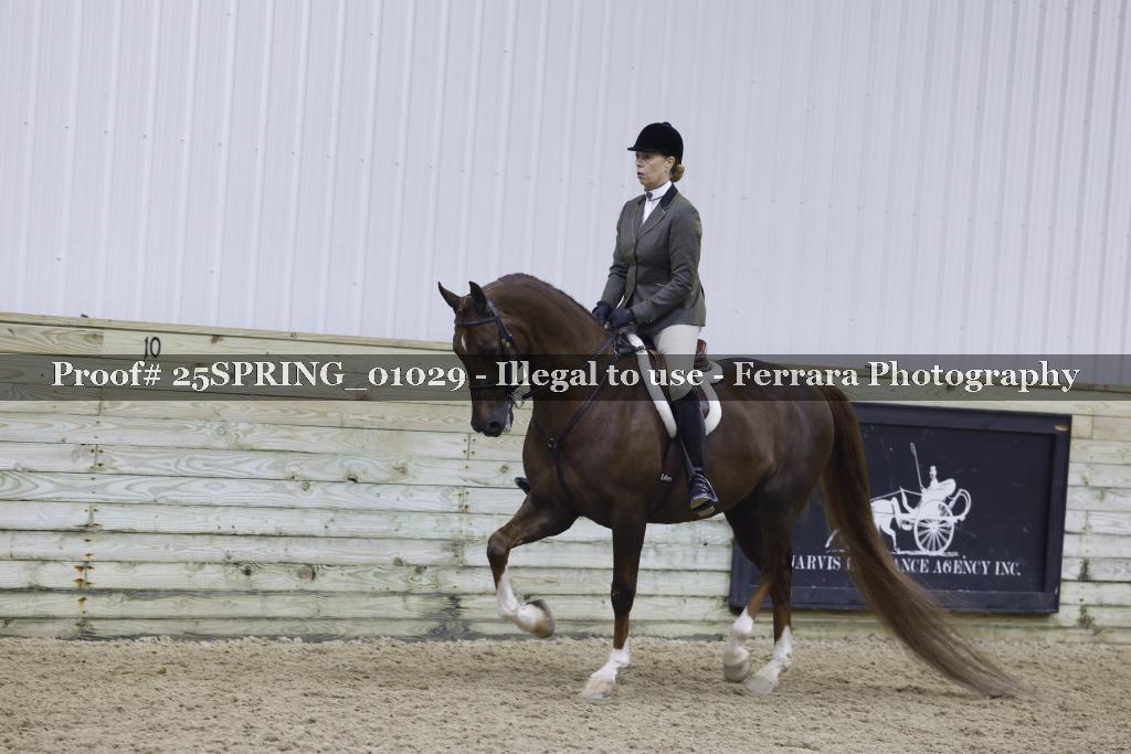 Proof 25SPRING_01029