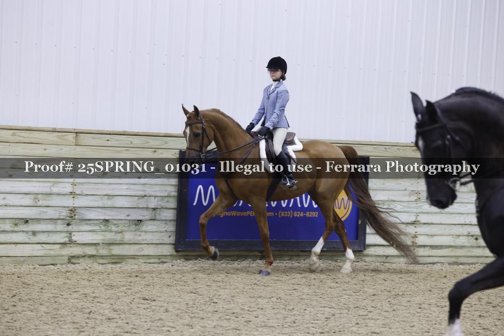 Proof 25SPRING_01031