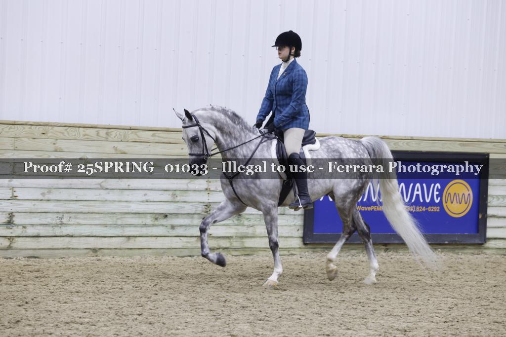 Proof 25SPRING_01033
