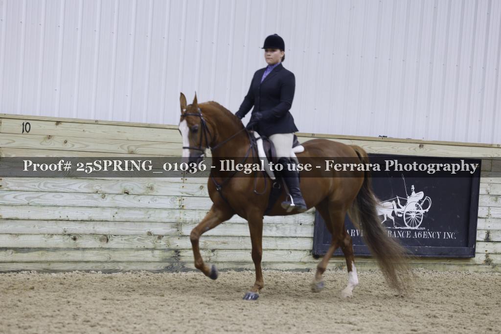 Proof 25SPRING_01036