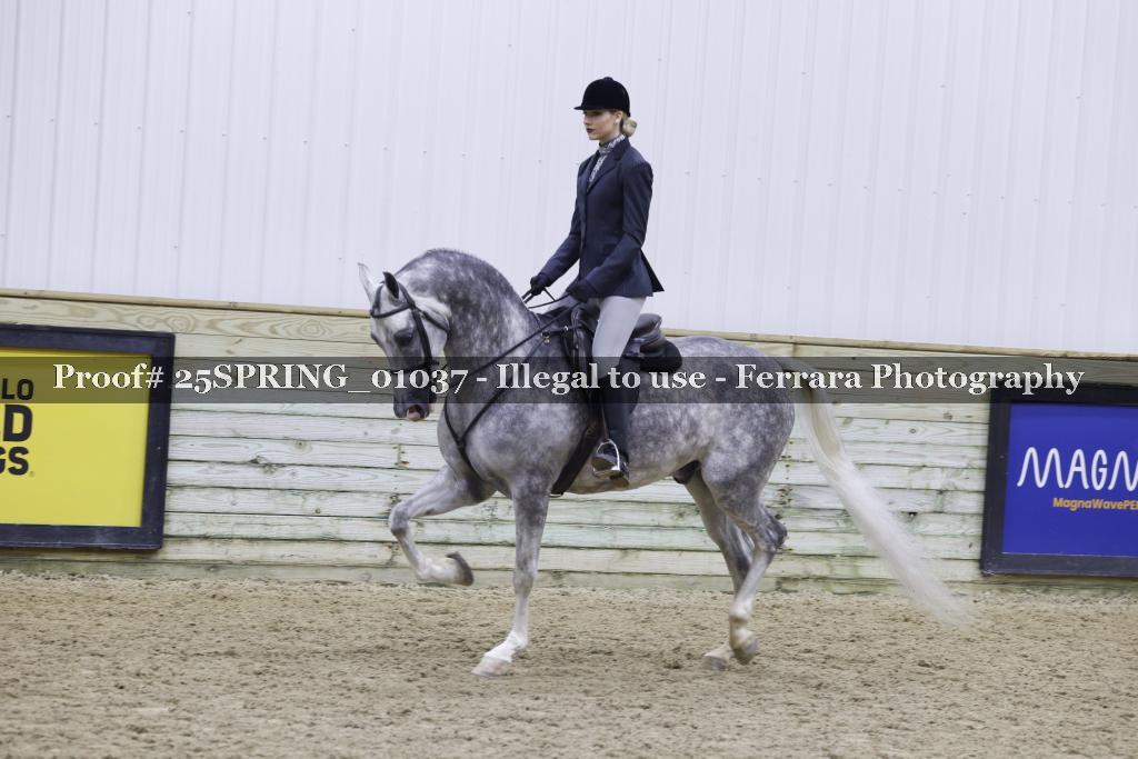 Proof 25SPRING_01037
