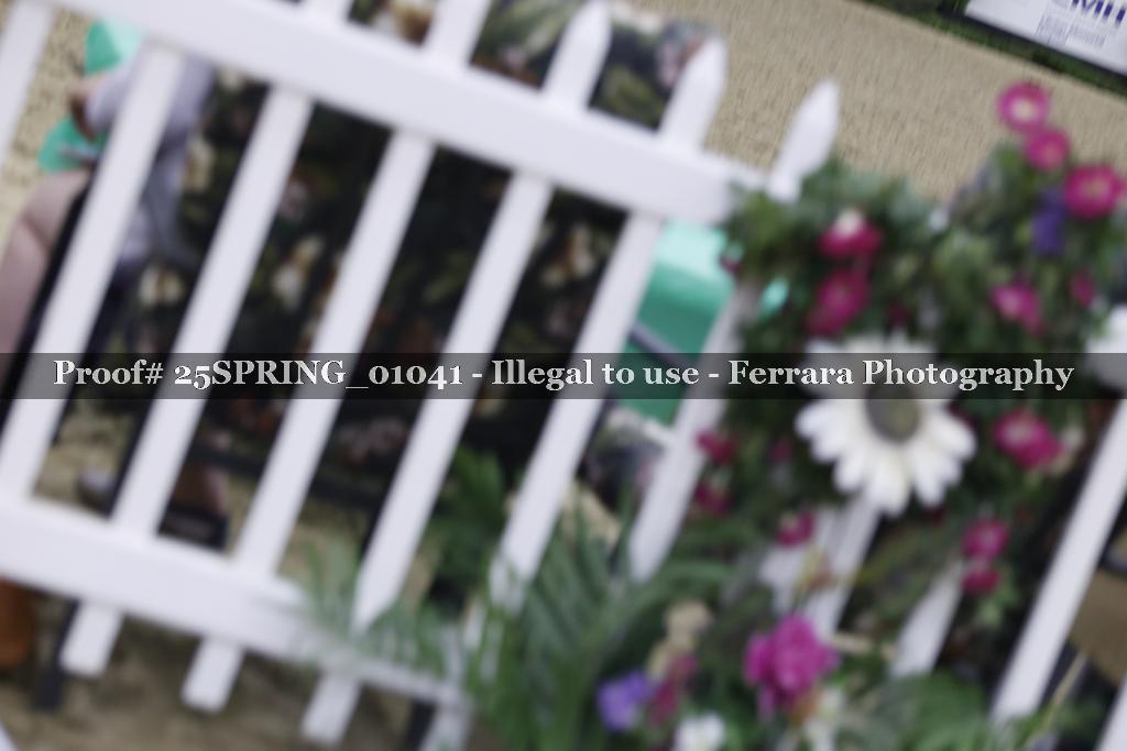 Proof 25SPRING_01041