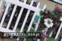 25SPRING_01041 proof