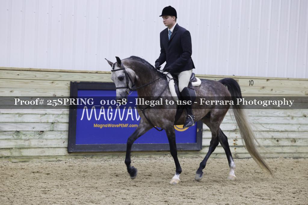 Proof 25SPRING_01058