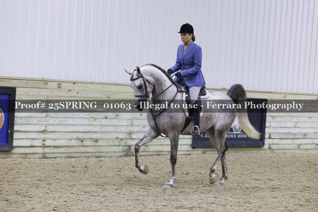 Proof 25SPRING_01063