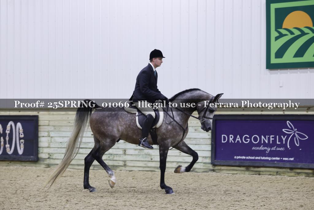 Proof 25SPRING_01066