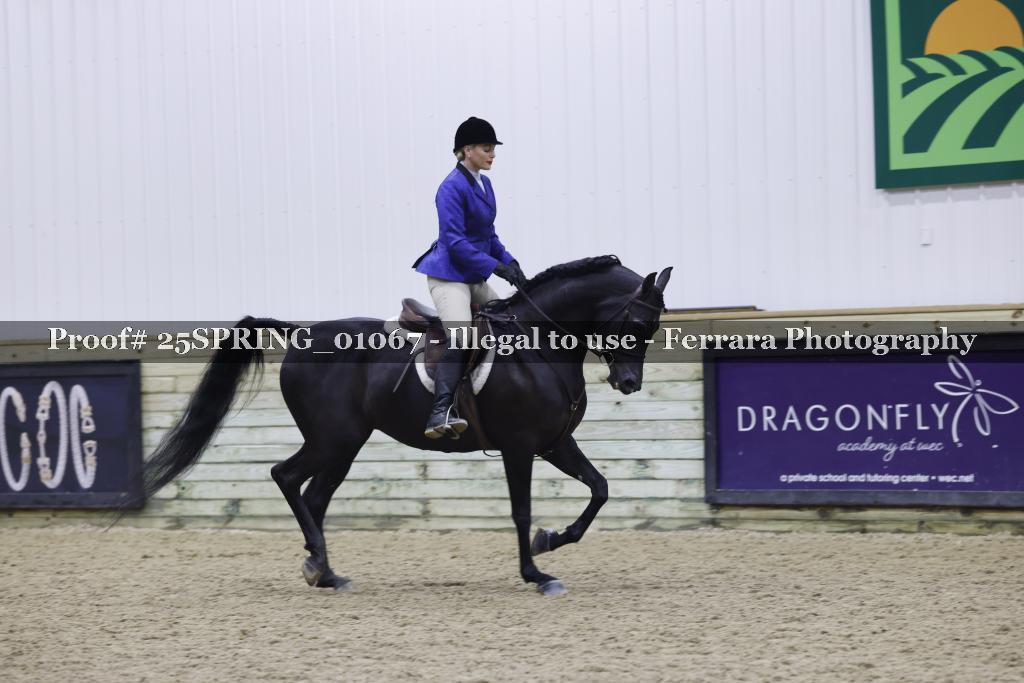 Proof 25SPRING_01067