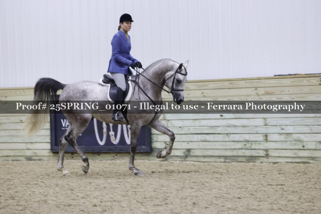 Proof 25SPRING_01071