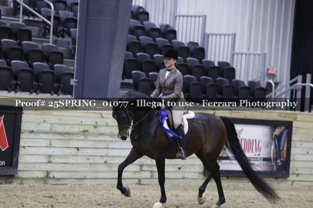 Proof 25SPRING_01077