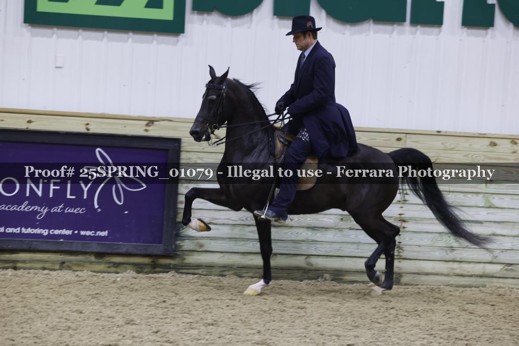 Proof 25SPRING_01079