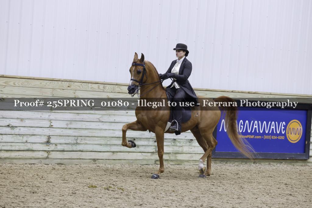 Proof 25SPRING_01080