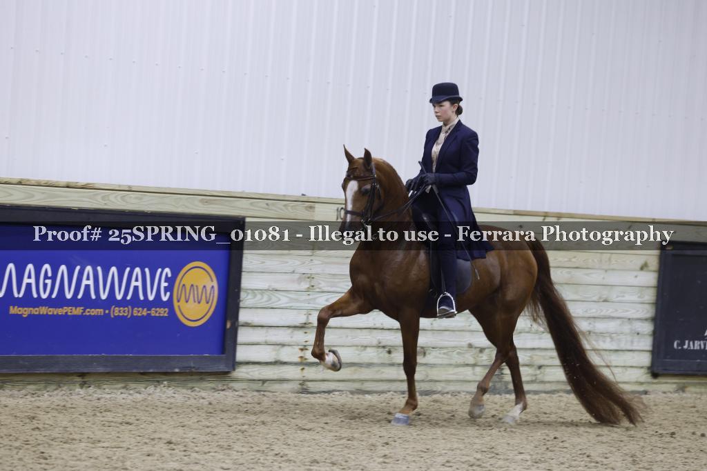 Proof 25SPRING_01081