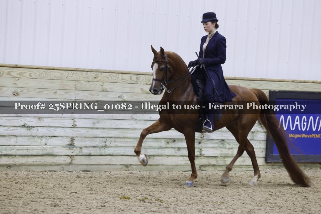 Proof 25SPRING_01082