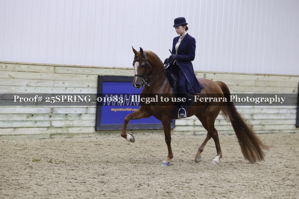Proof 25SPRING_01083